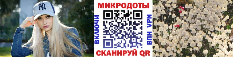 ОМГ ОМГ зеркало  Новопавловск  Псилоцибиновые грибы прущие грибы  сколько стоит 